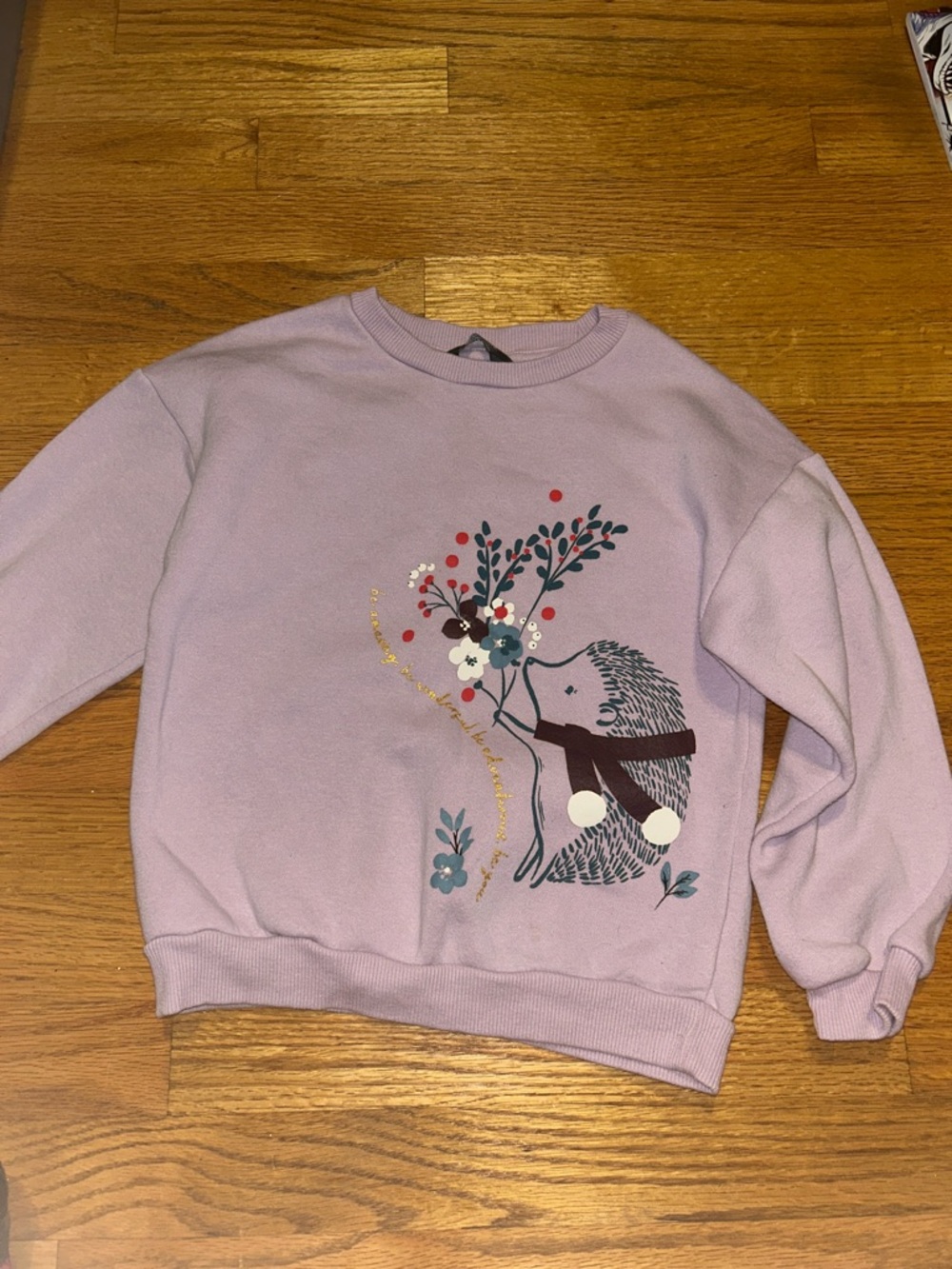 Primark Lilac Kids Sweatshirt with Hedgehog Floral Print